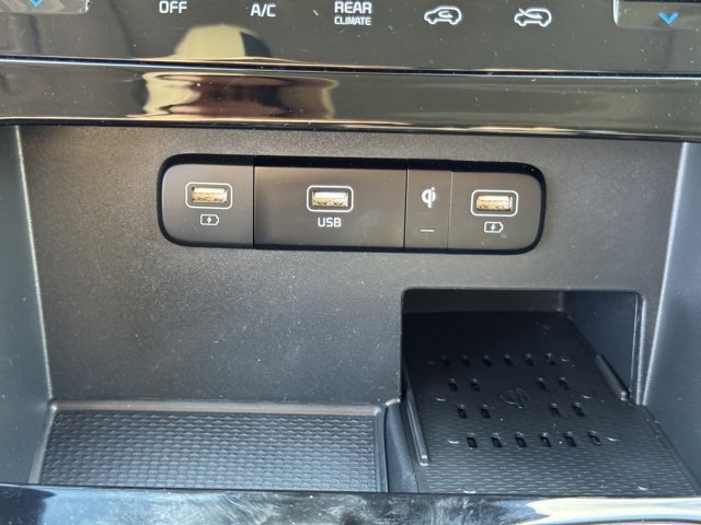 Certified 2024 Kia Carnival SX Prestige image 28