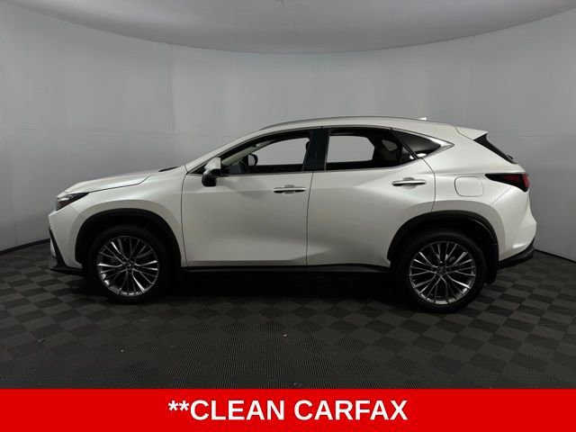 Used 2022 Lexus NX 350 AWD w/ Luxury Package image 5