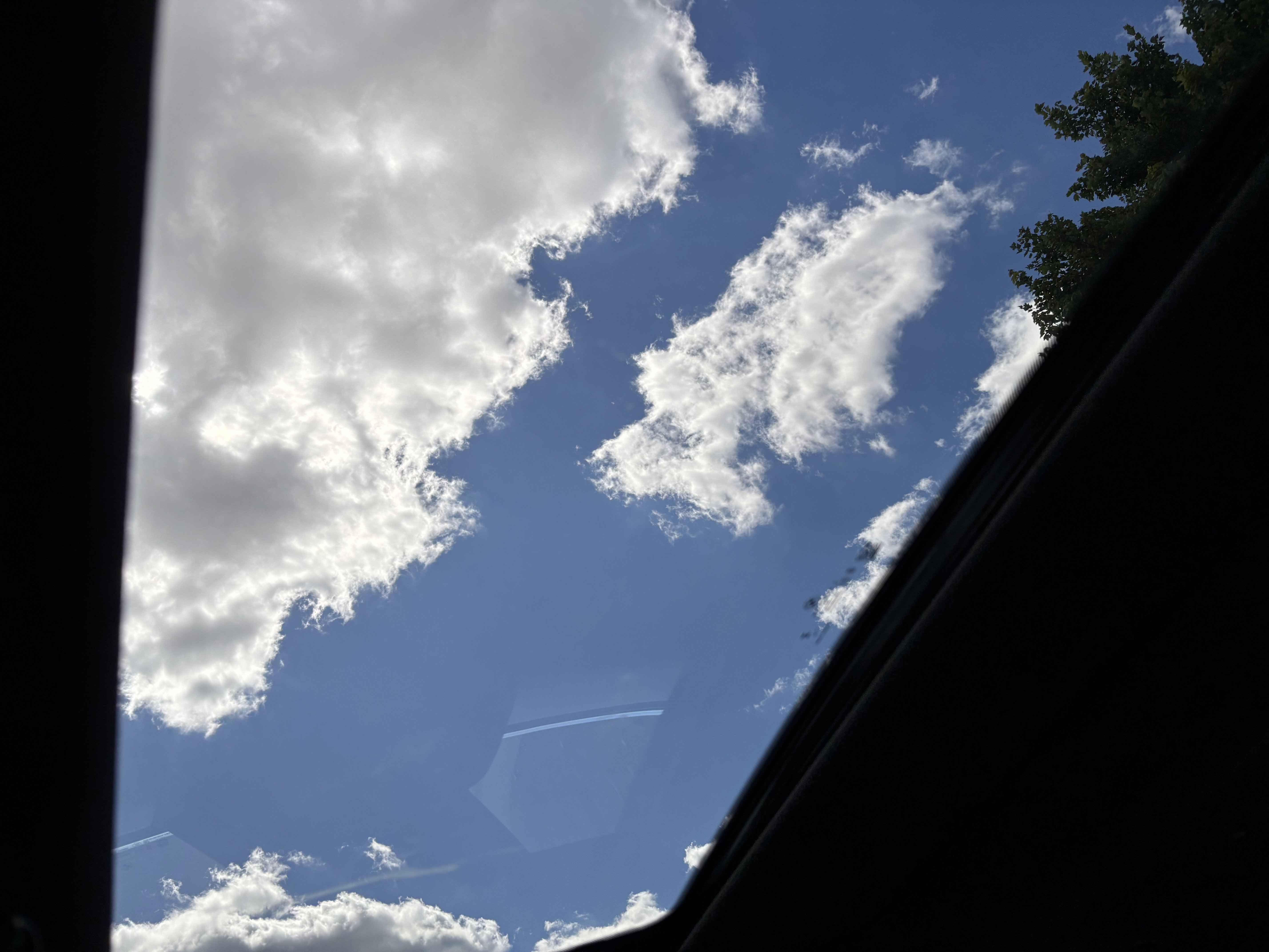 Used 2026 BMW 530i xDrive image 31