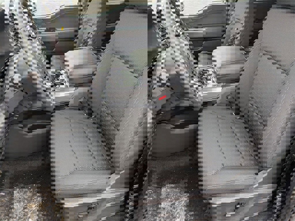 New 2026 Ford F150 XLT w/ Equipment Group 302A MID image 16