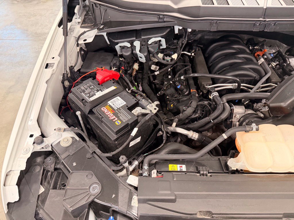 Used 2024 Ford F150 XL w/ Equipment Group 103A High AWD/4WD image 47