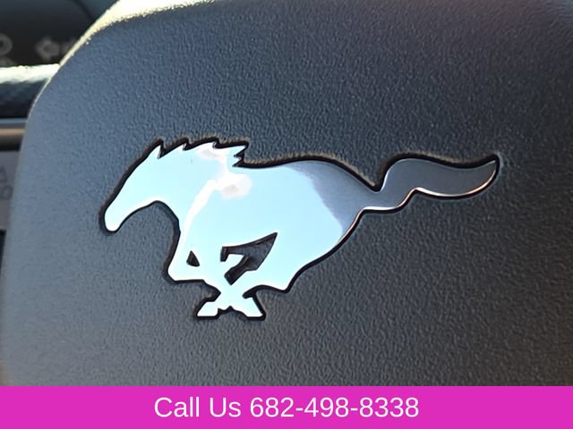 New 2026 Ford Mustang Coupe w/ Mustang Nite Pony Package RWD image 23