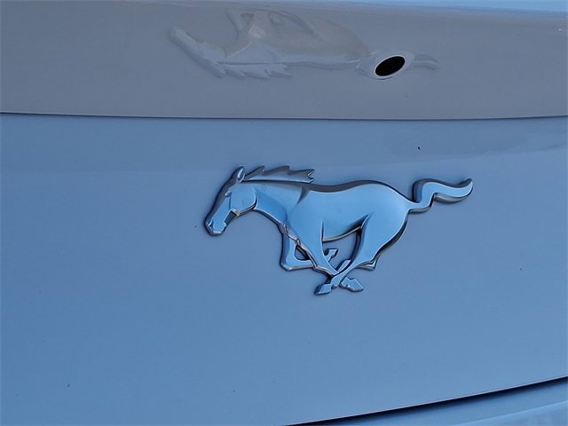 New 2025 Ford Mustang Premium w/ Wheel & Stripe Package image 20