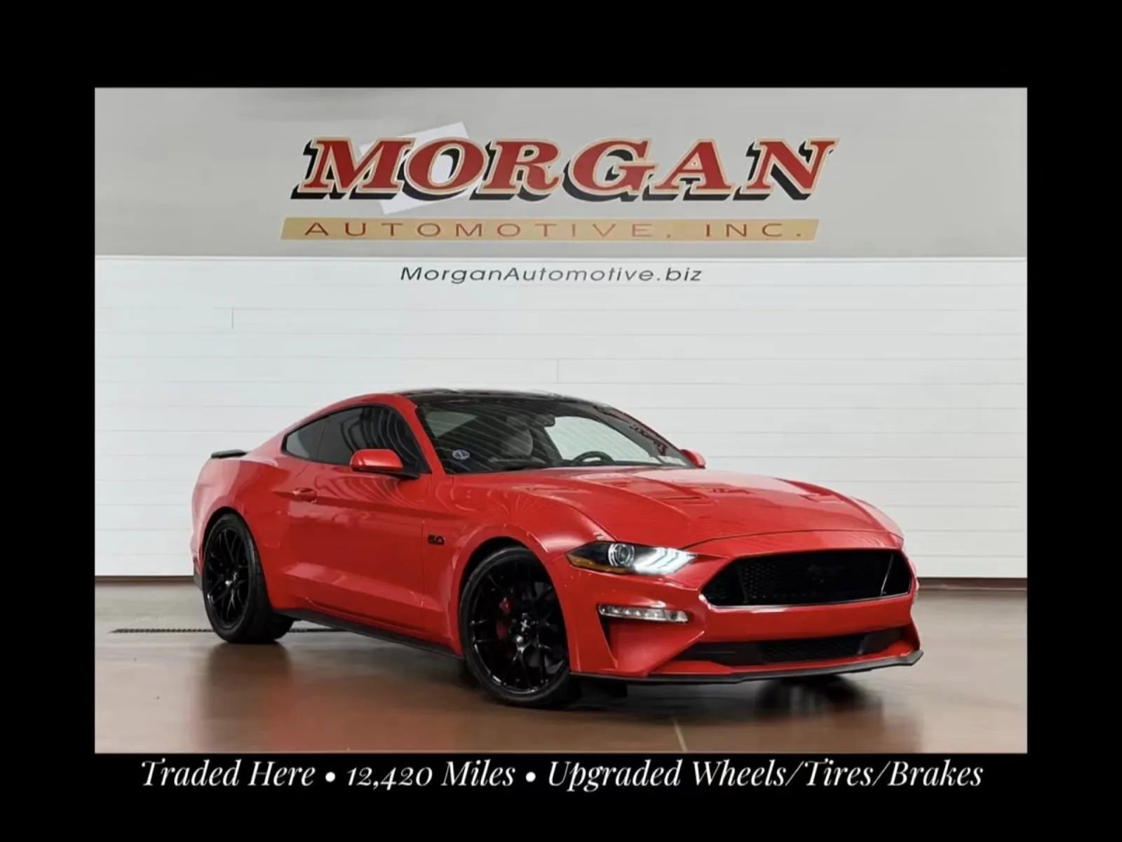Used 2019 Ford Mustang GT w/ Equipment Group 301A RWD image 1