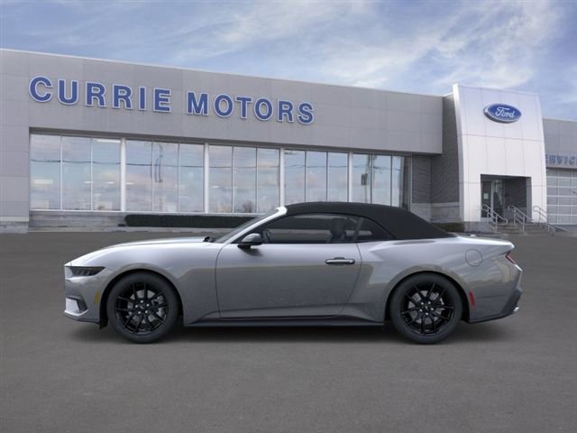 New 2026 Ford Mustang Convertible w/ Mustang Nite Pony Package image 3