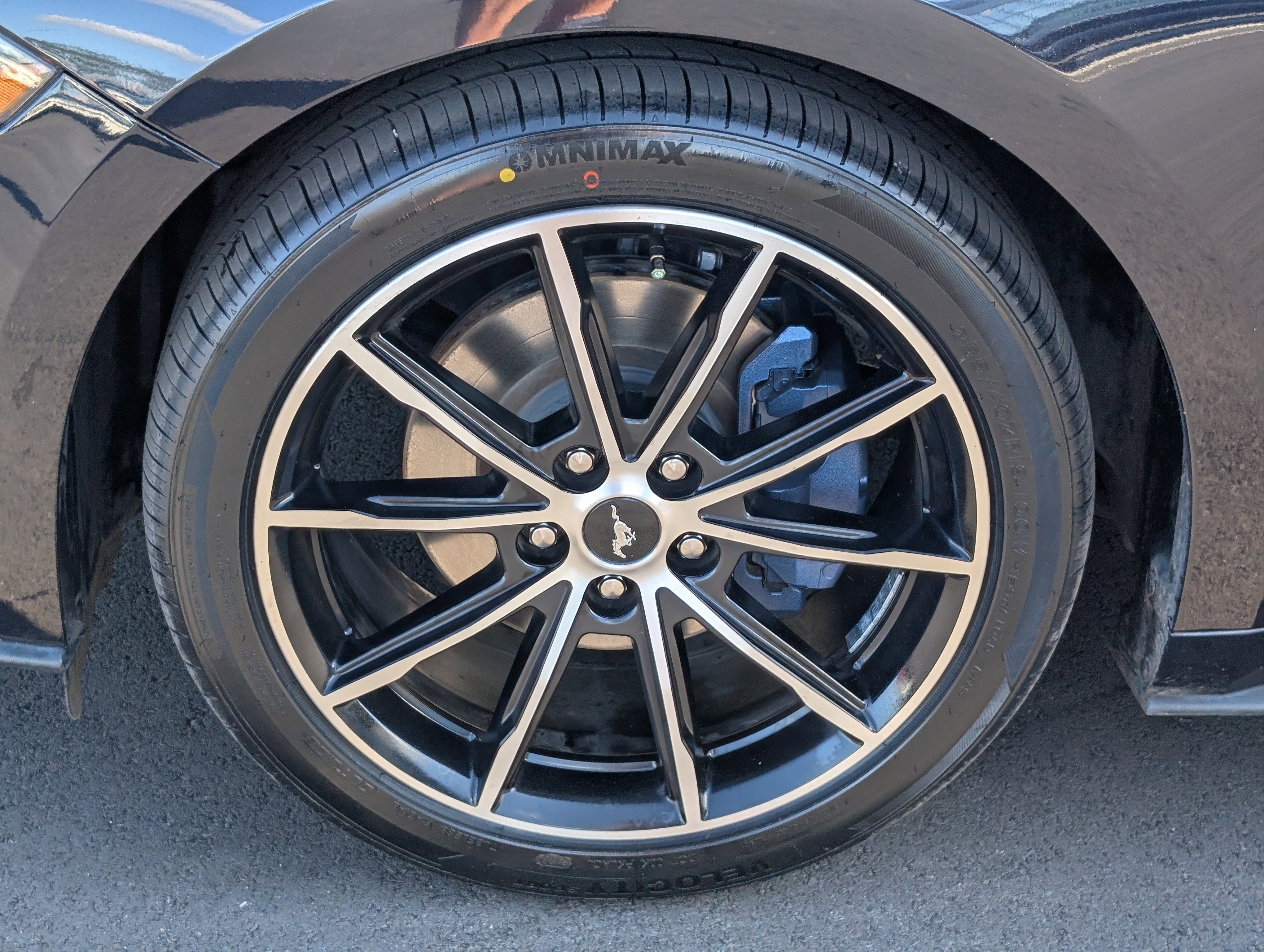 Used 2021 Ford Mustang Coupe w/ Equipment Group 101A image 13