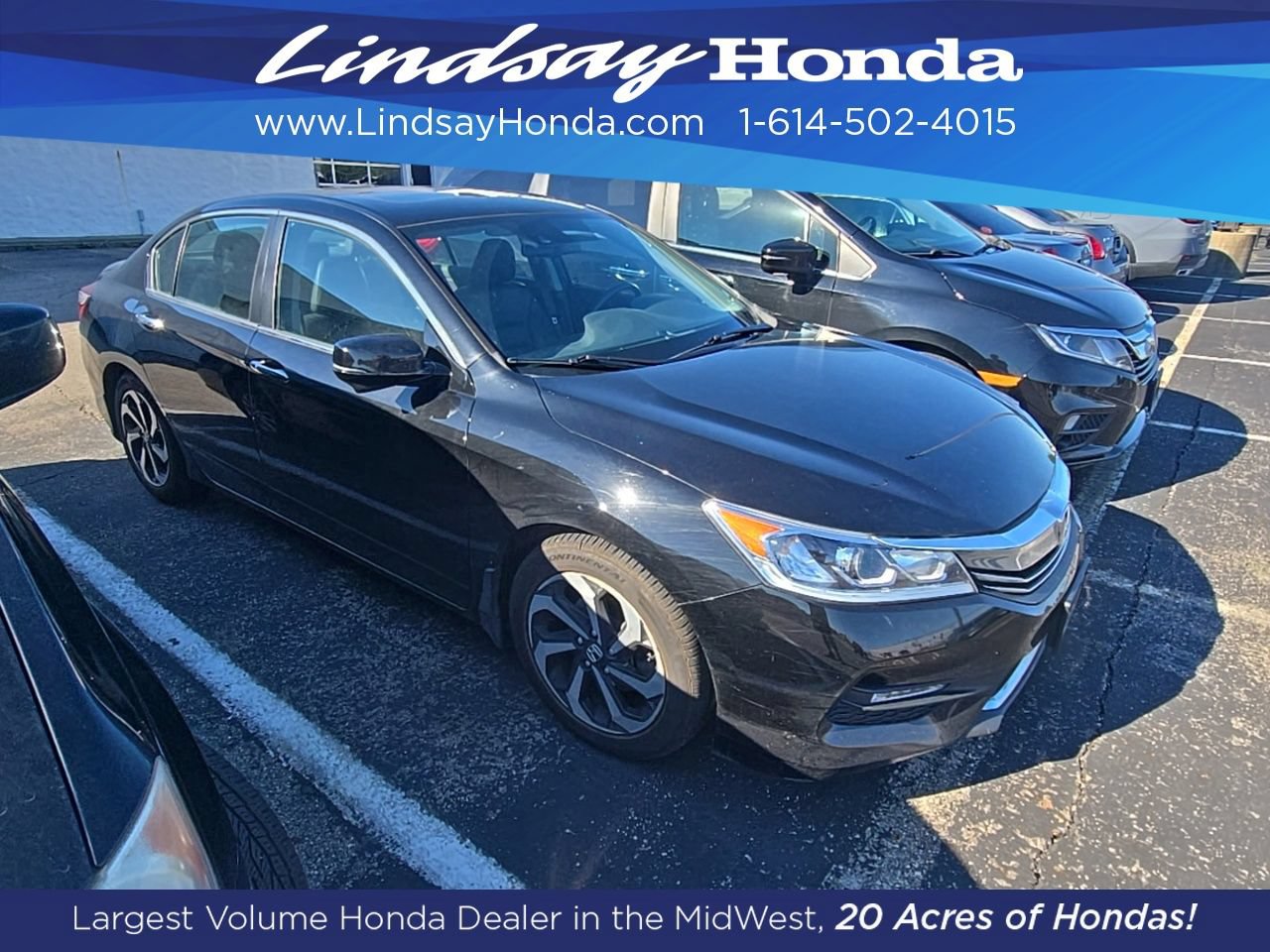 Used 2016 Honda Accord EX-L image 2