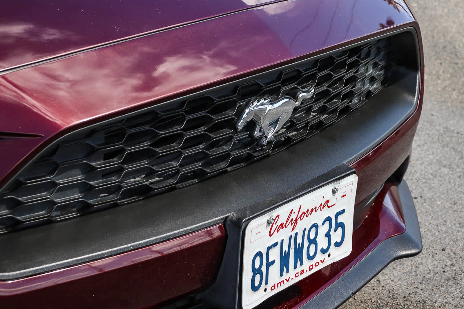 Used 2018 Ford Mustang Coupe RWD image 5