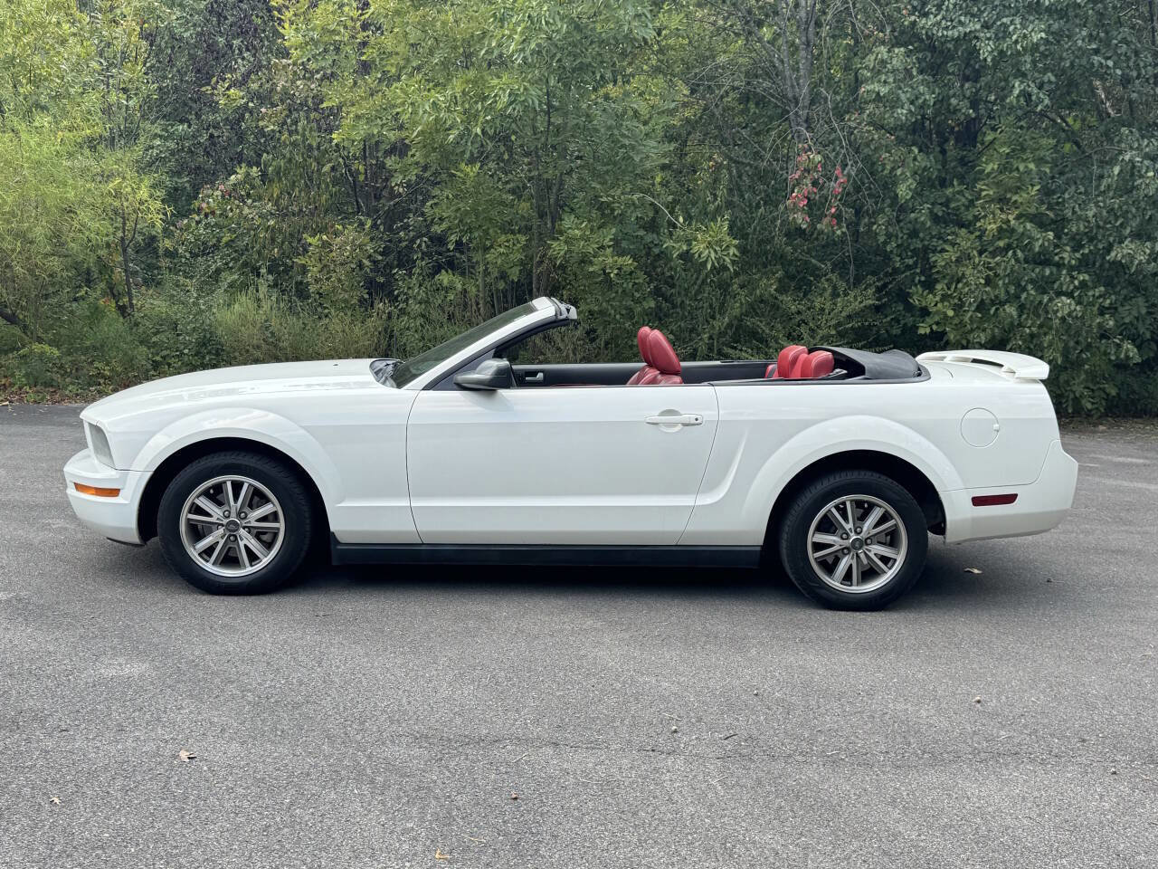 Used 2005 Ford Mustang Premium image 1