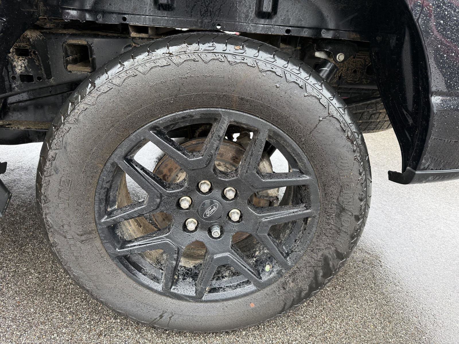 Used 2024 Ford F150 STX w/ STX Black Appearance Package image 11
