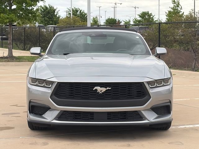Used 2024 Ford Mustang Premium image 2