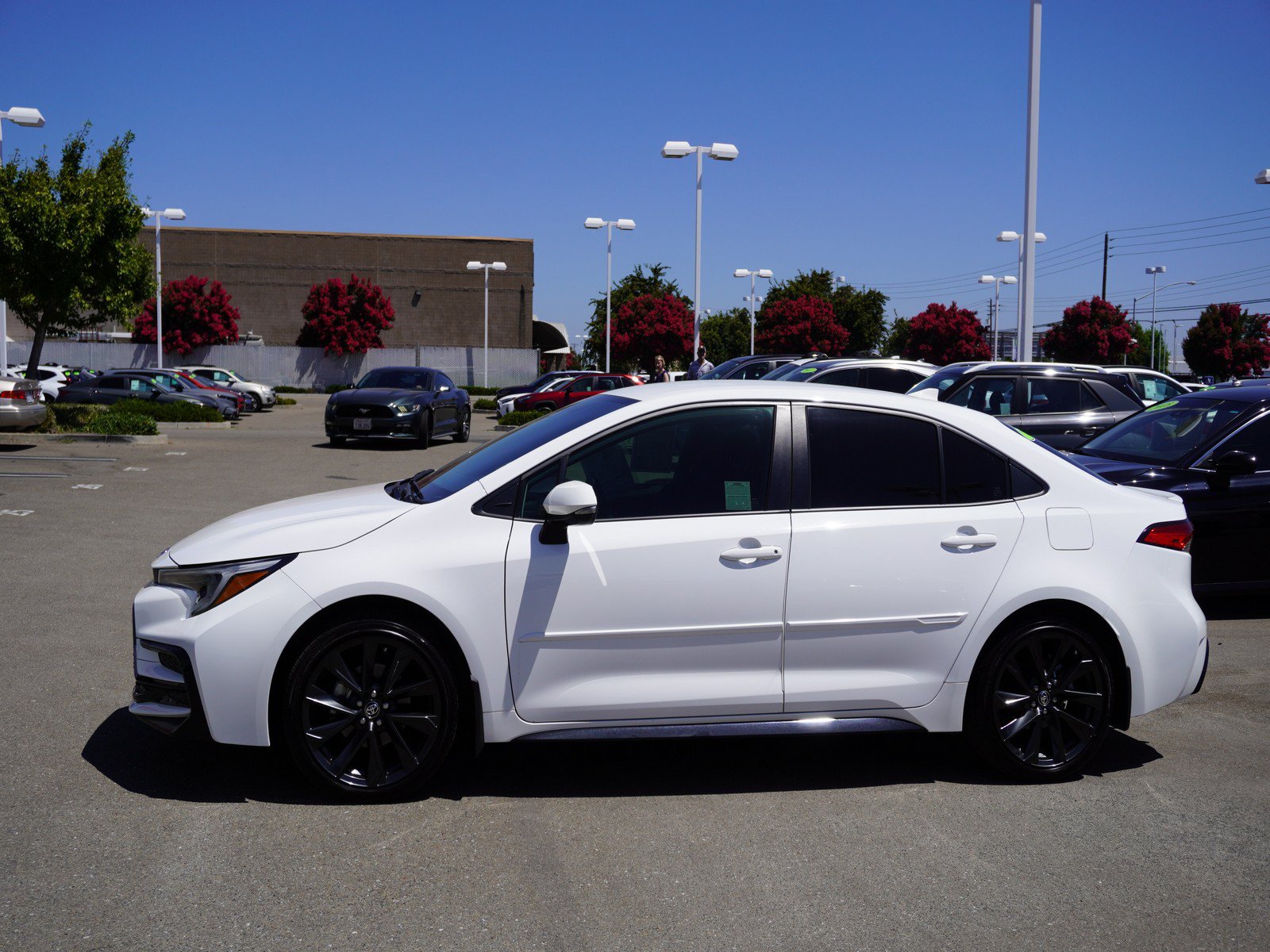 Used 2025 Toyota Corolla SE FWD image 6