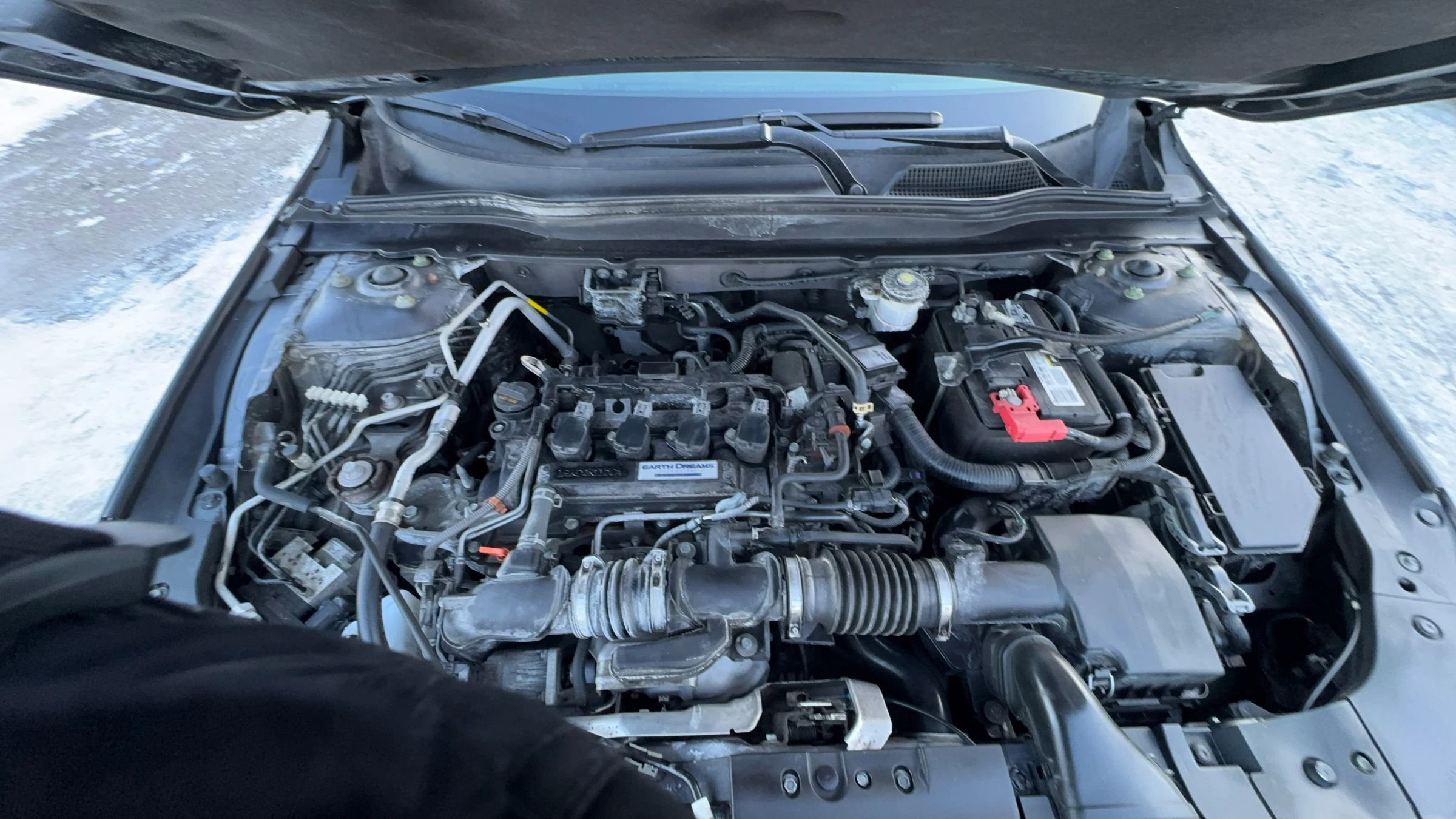 Used 2019 Honda Accord EX-L image 13