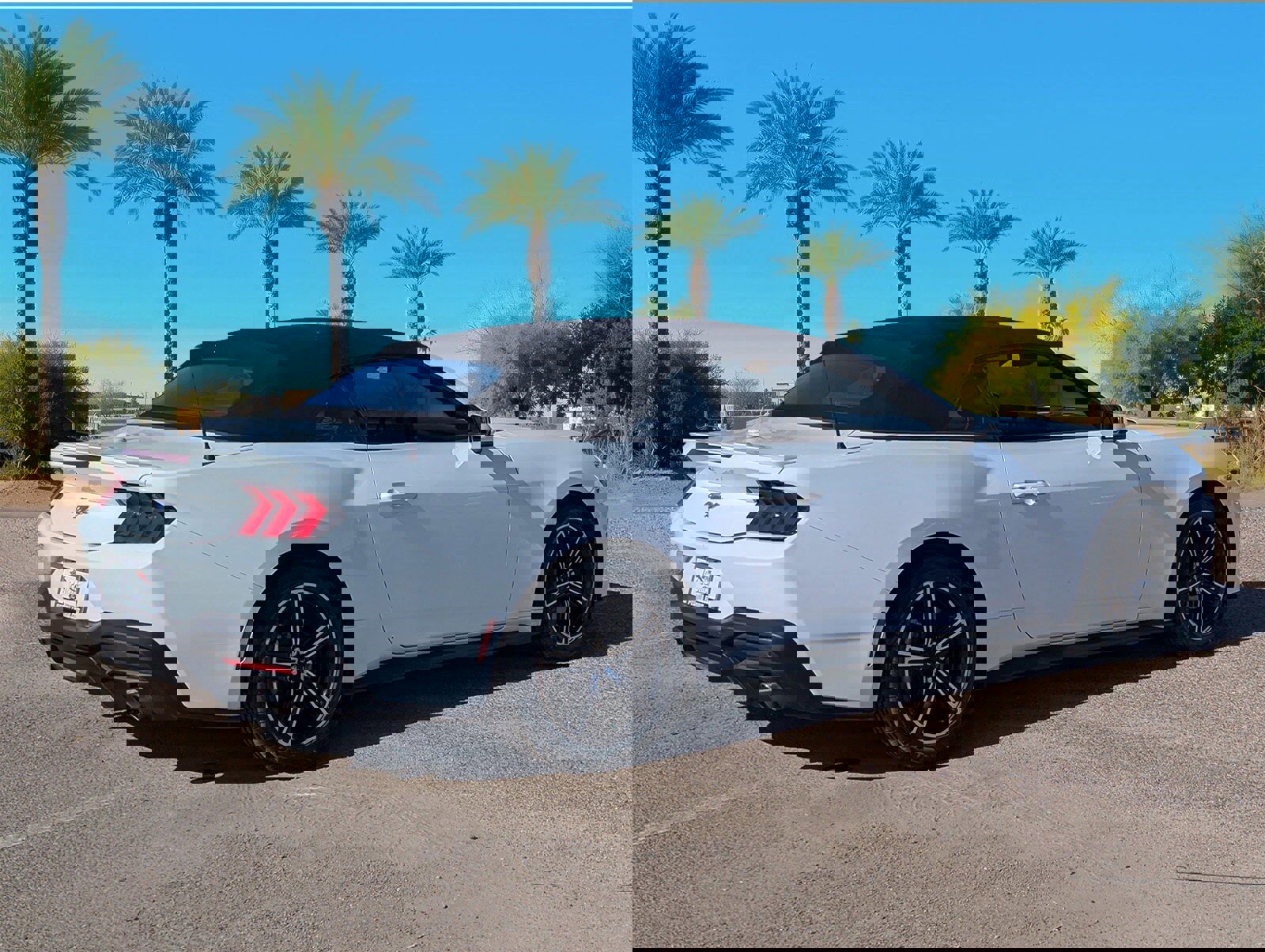 Certified 2024 Ford Mustang Premium image 5