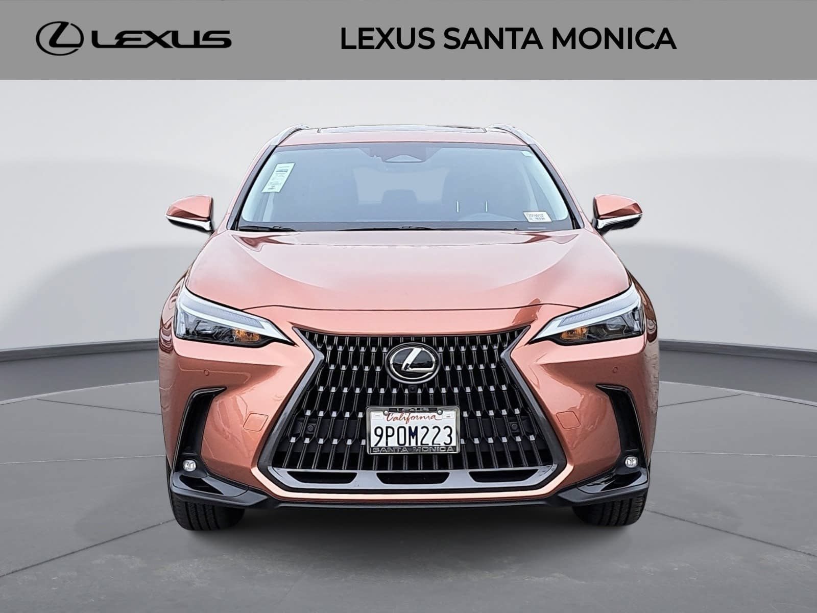 Used 2025 Lexus NX 350 AWD w/ Cold Area Package image 2