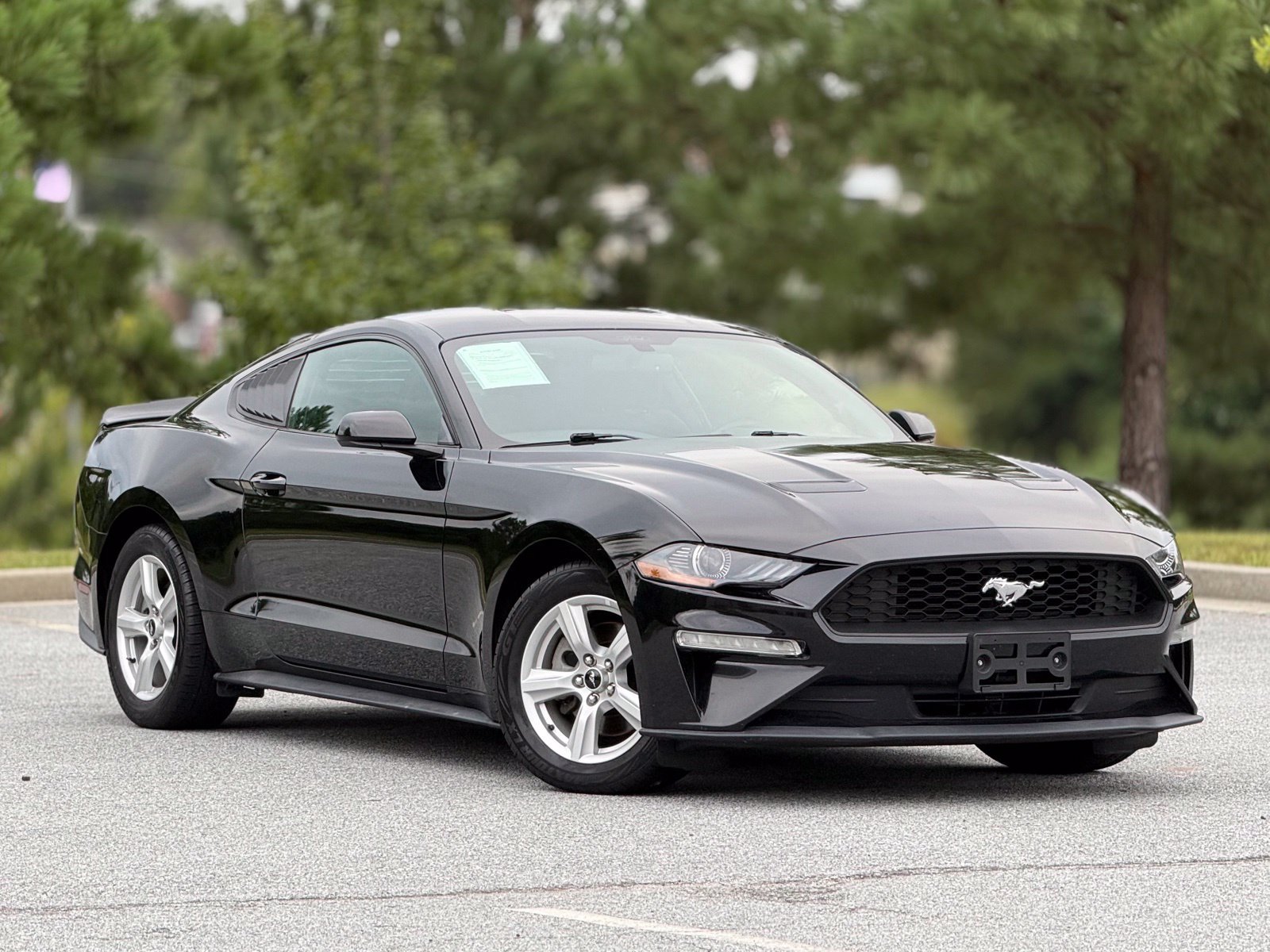 Used 2019 Ford Mustang Coupe RWD image 13