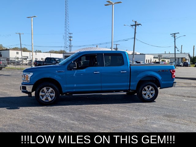 Used 2019 Ford F150 XLT w/ Equipment Group 302A Luxury AWD/4WD image 5
