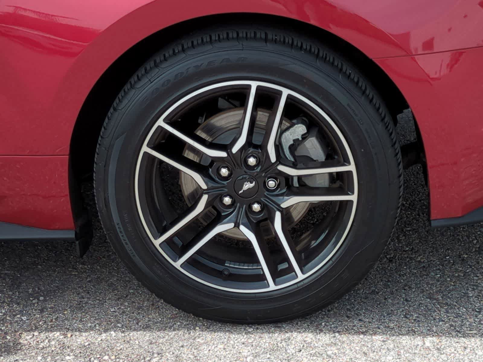 Certified 2022 Ford Mustang Premium RWD image 14