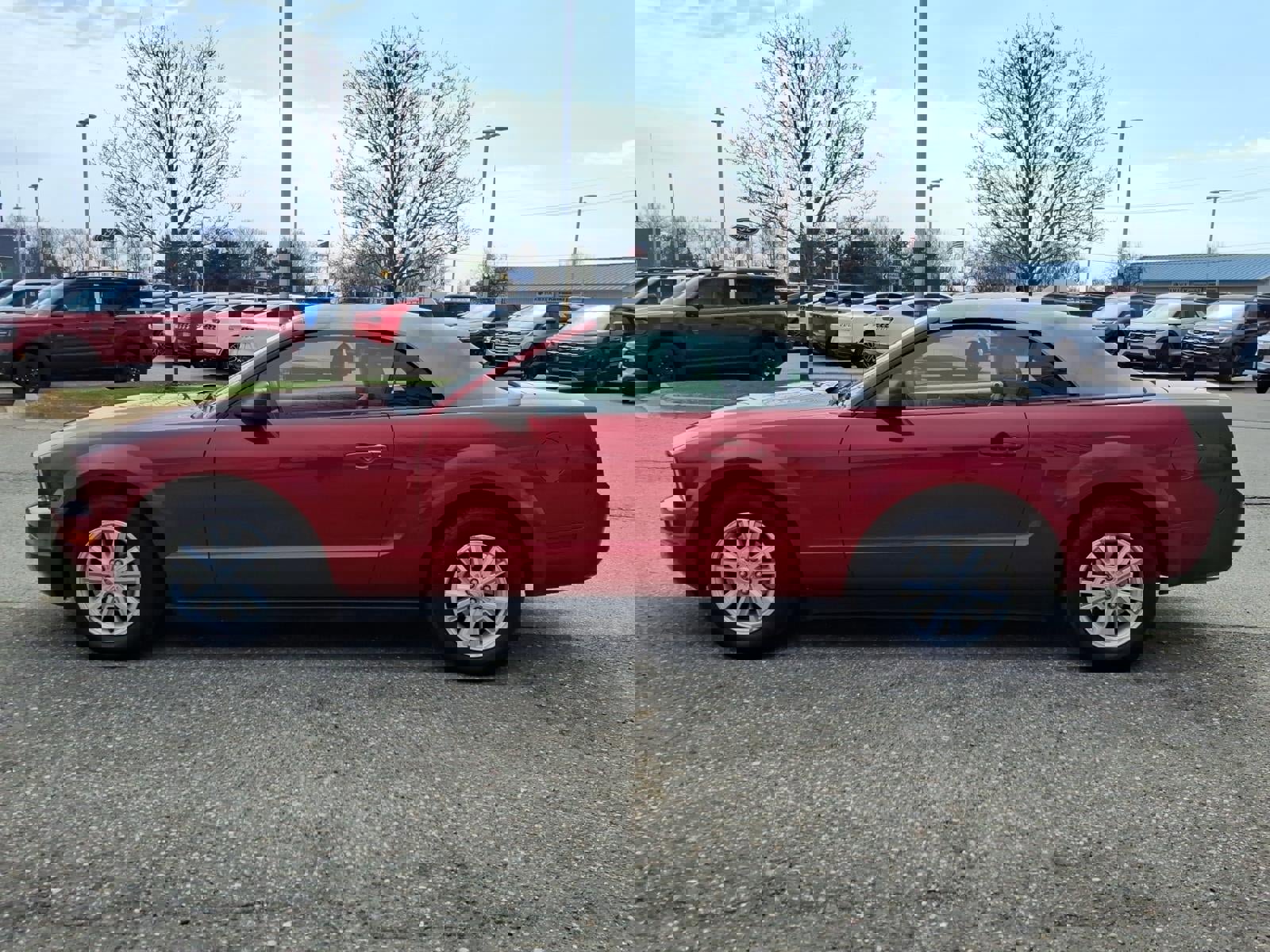 Used 2008 Ford Mustang Deluxe image 10