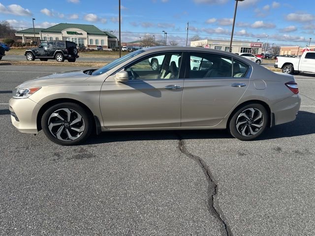 Used 2016 Honda Accord EX-L image 5