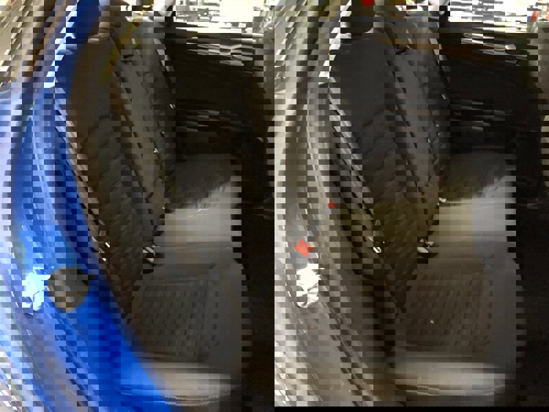 Used 2020 Ford Fusion SE image 16