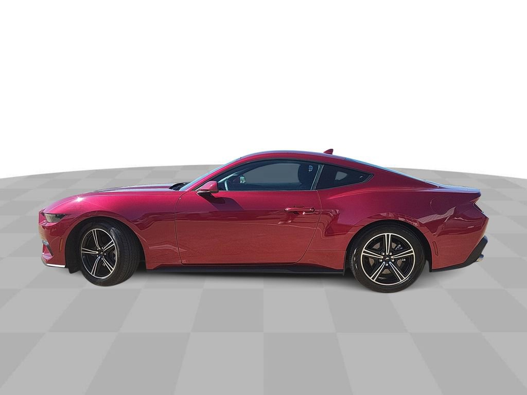 Used 2025 Ford Mustang EcoBoost image 5