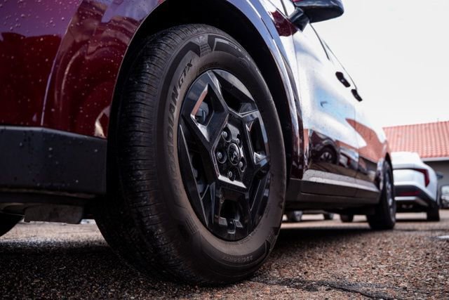 Used 2025 Kia Carnival image 9