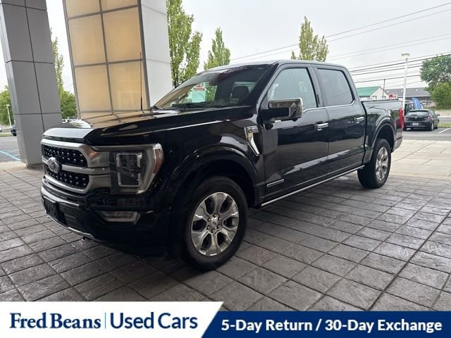 Used 2023 Ford F150 Platinum w/ Equipment Group 701A High AWD/4WD image 19