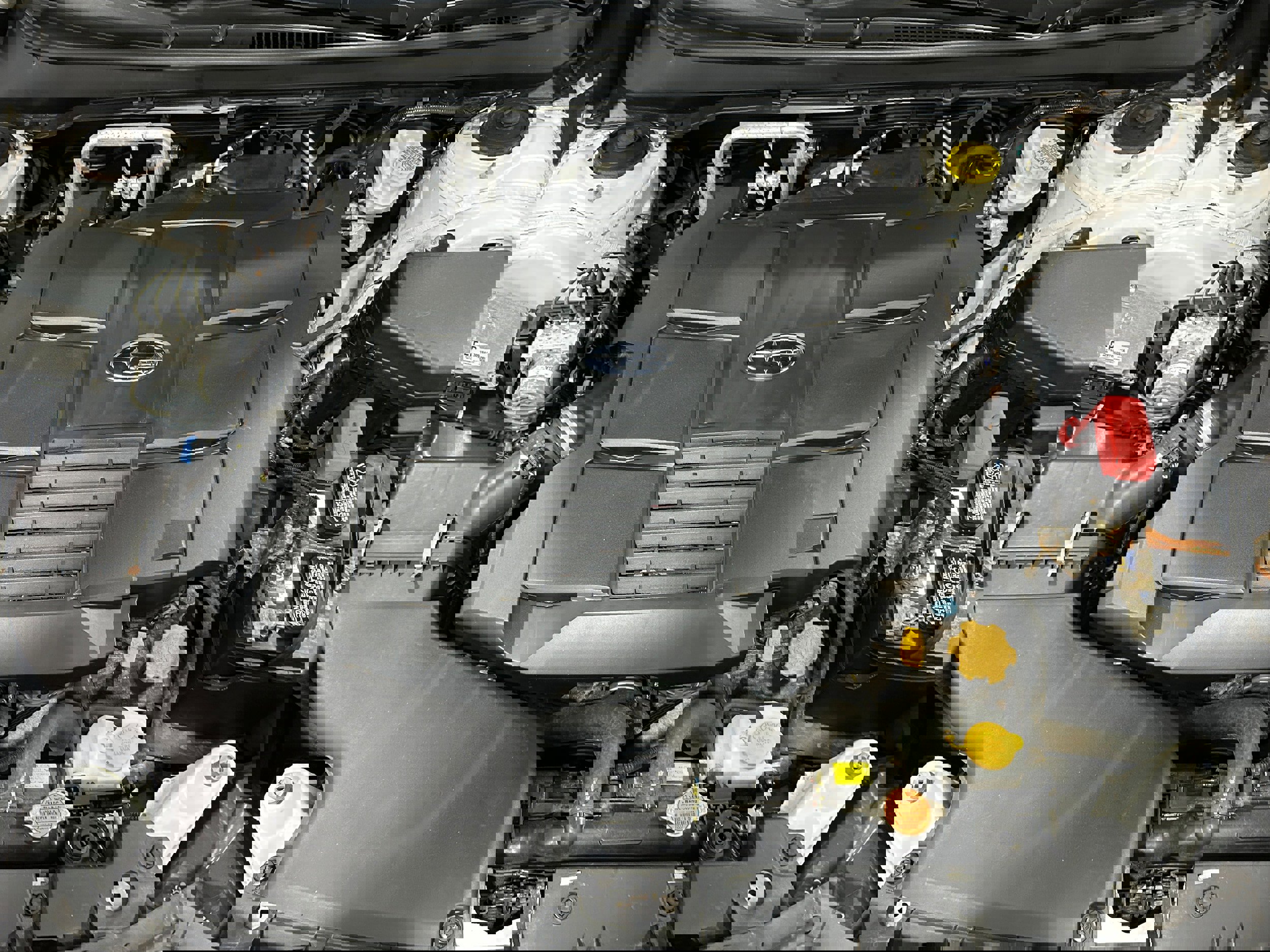 Used 2019 Subaru Outback 3.6R Touring image 19