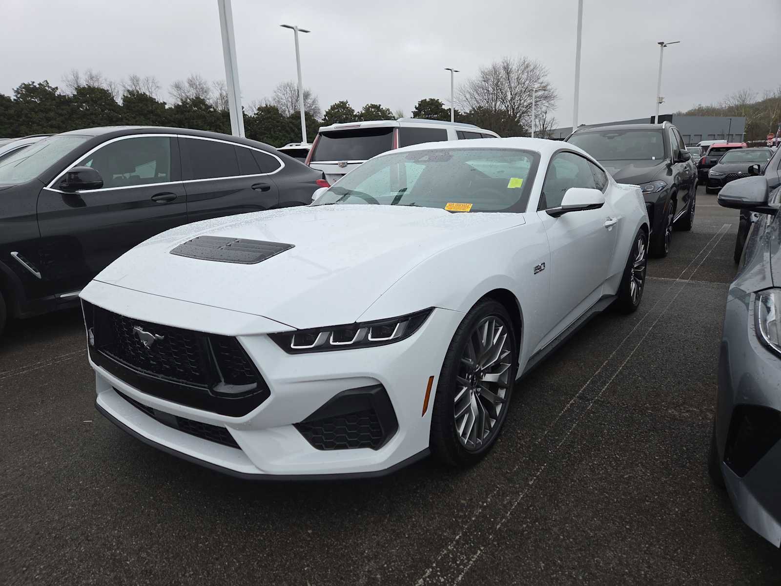 Used 2025 Ford Mustang GT Premium image 8
