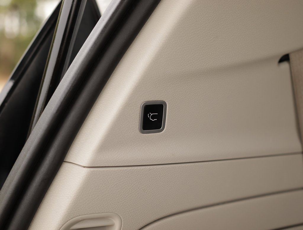 Used 2018 Chrysler Pacifica Limited w/ Advanced Safetytec Group image 35