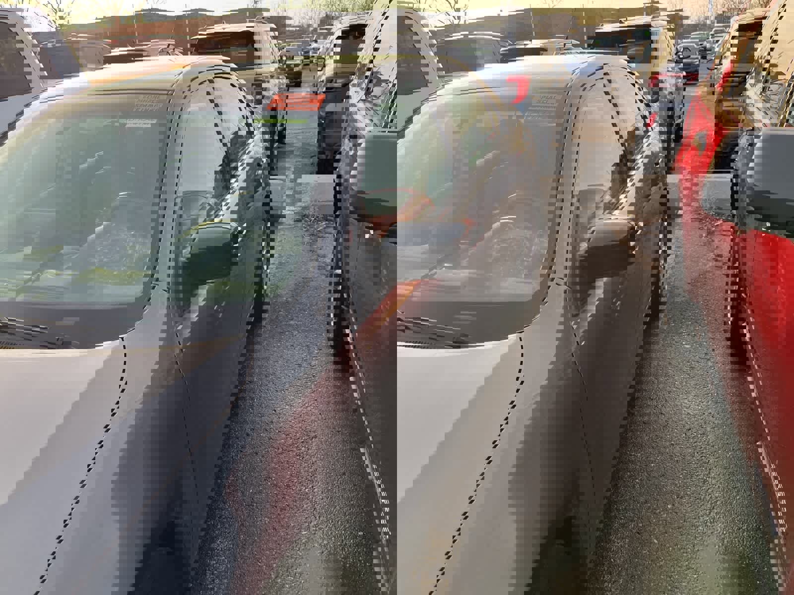 Used 2011 Ford Fusion SE w/ 201A Rapid Spec Order Code image 6