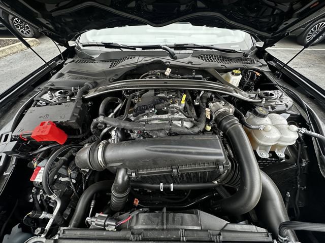 Certified 2025 Ford Mustang Premium image 31