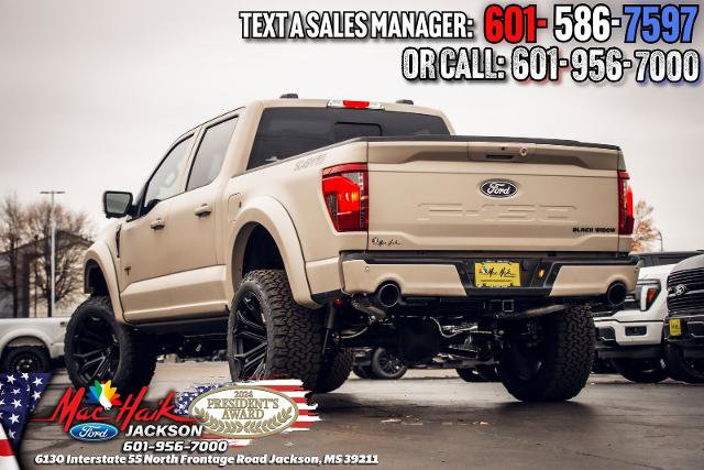 New 2025 Ford F150 XLT w/ Equipment Group 303A High image 9