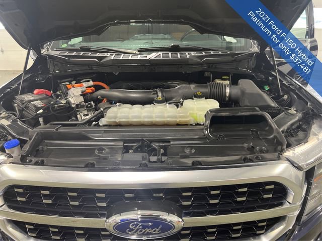 Used 2021 Ford F150 Platinum w/ Equipment Group 701A High image 19