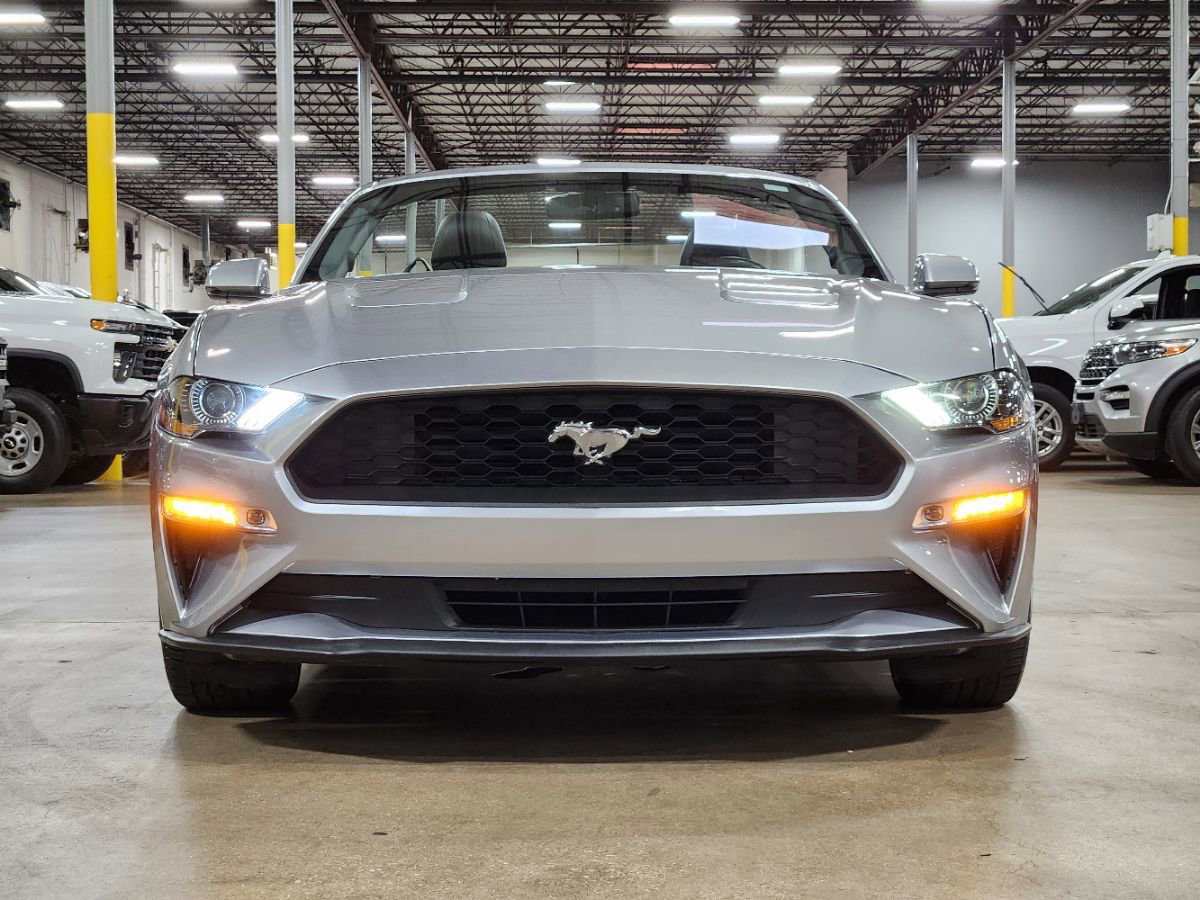 Used 2020 Ford Mustang Premium RWD image 2