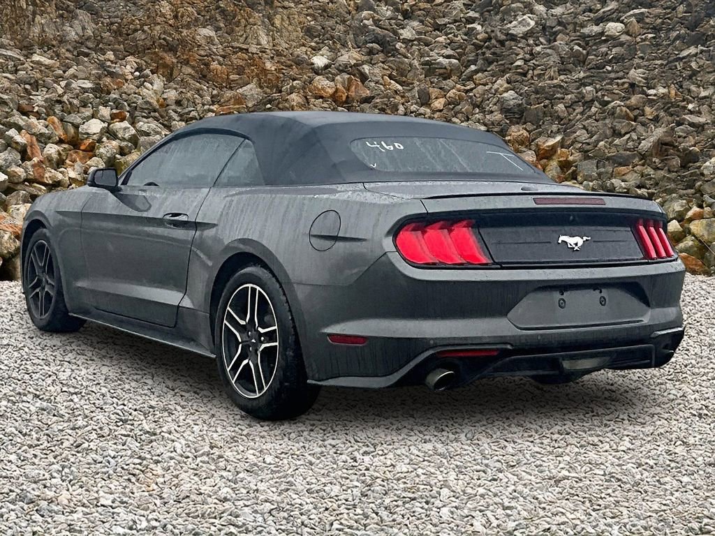 Used 2018 Ford Mustang Premium image 10