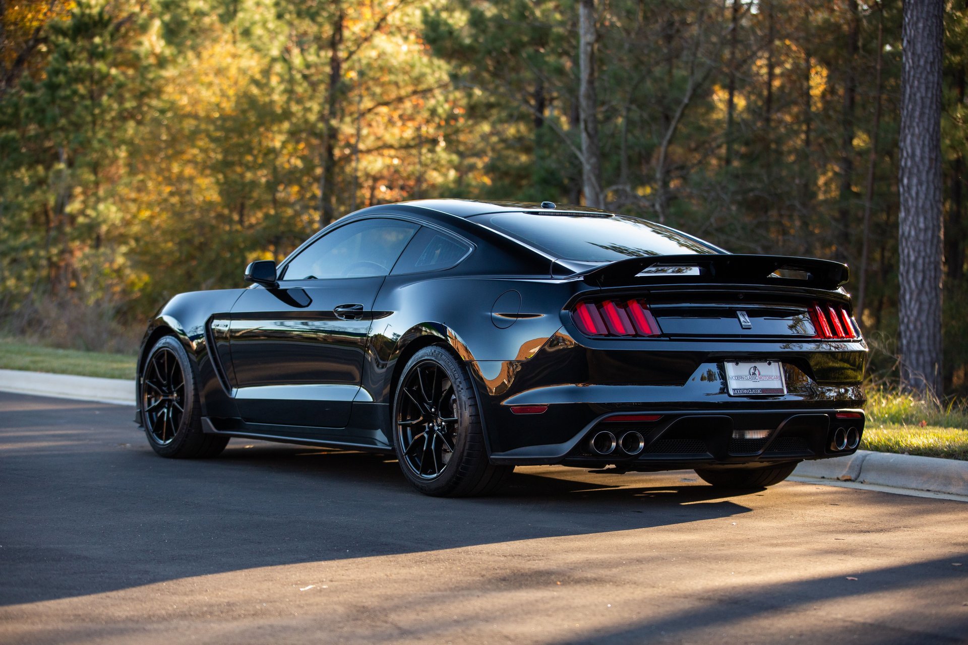 Used 2019 Ford Mustang Shelby GT350 w/ Technology Package image 1