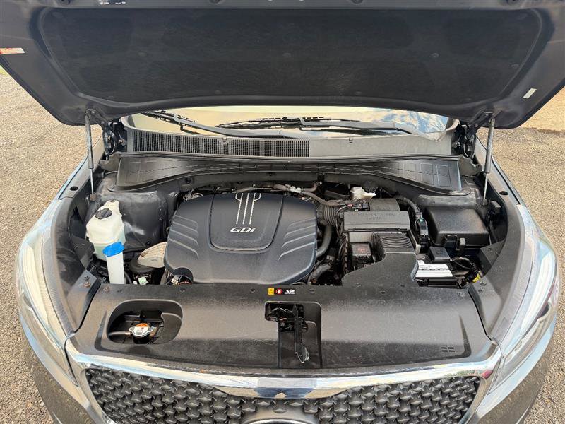 Used 2017 Kia Sorento AWD image 11