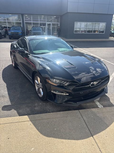 Used 2019 Ford Mustang Premium w/ Equipment Group 201A RWD image 5