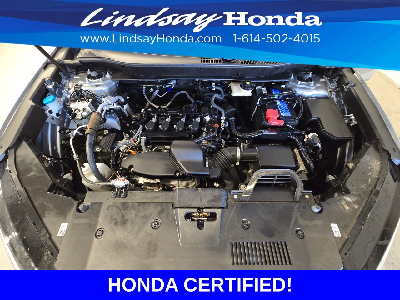 Certified 2025 Honda CR-V EX-L image 25