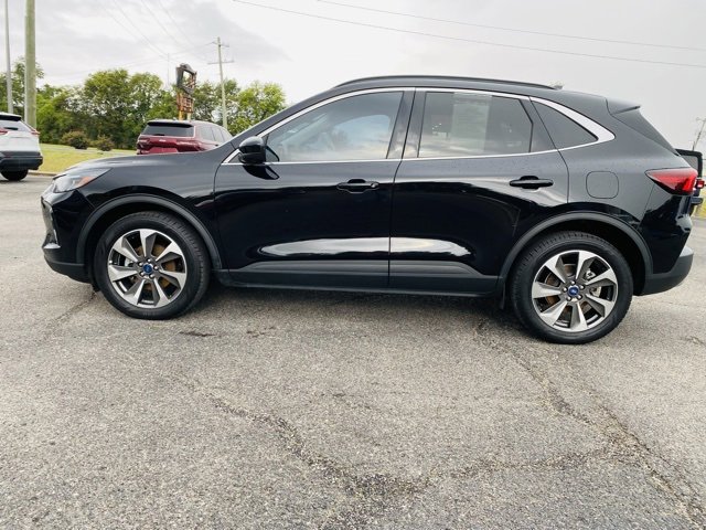 Used 2023 Ford Escape Platinum image 3