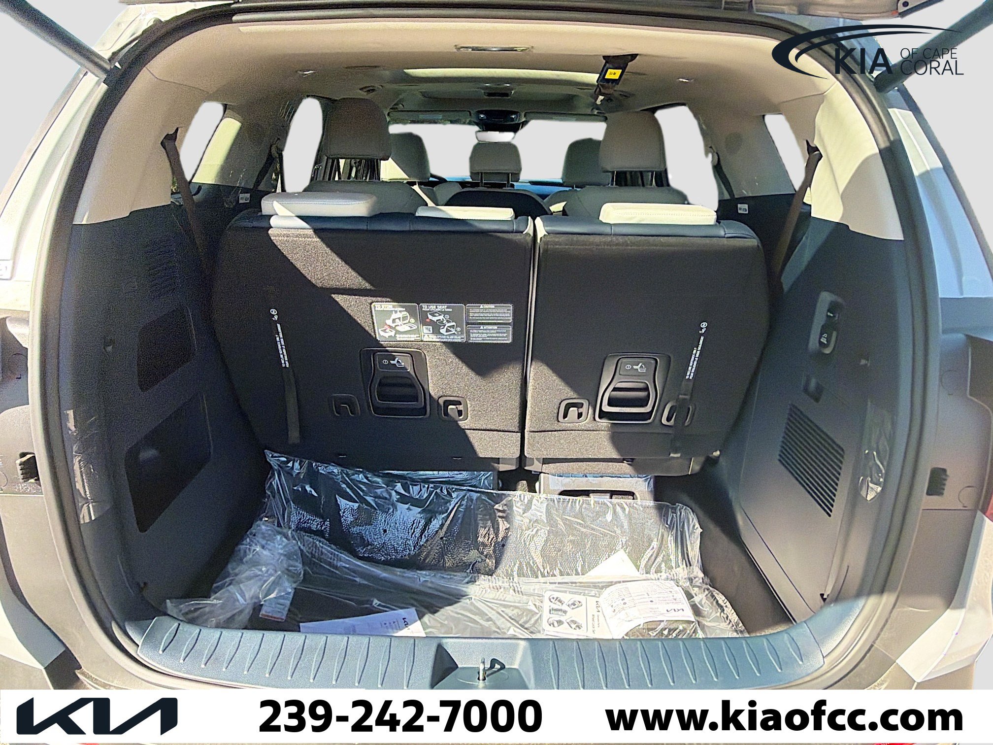 New 2026 Kia Carnival SX image 9