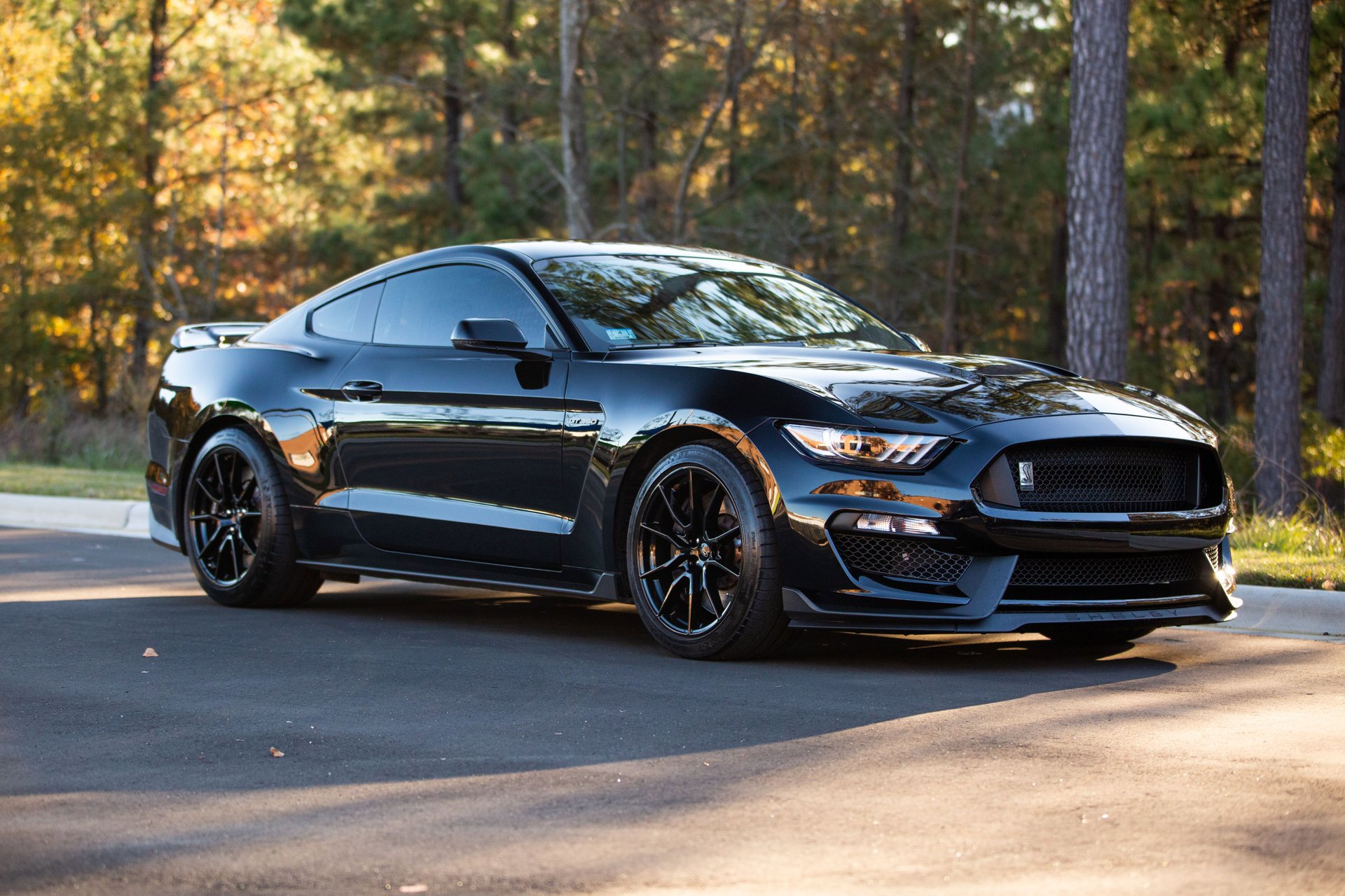 Used 2019 Ford Mustang Shelby GT350 w/ Technology Package image 21
