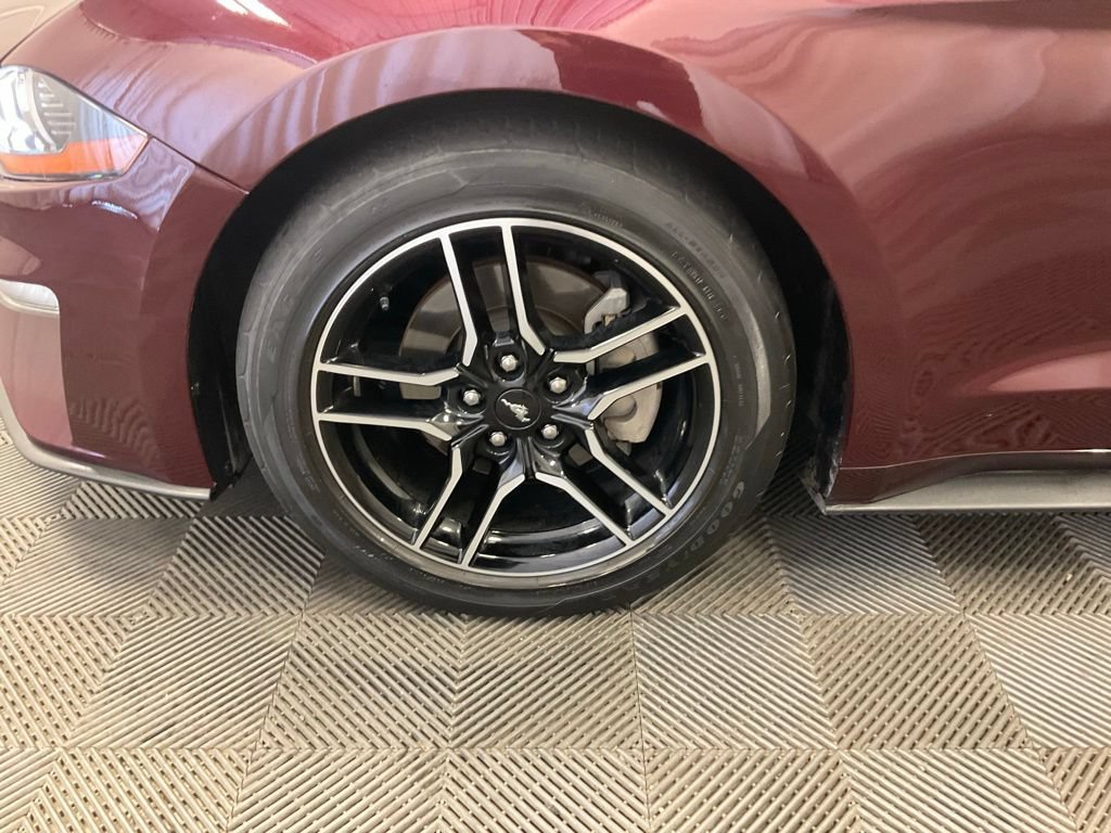 Used 2018 Ford Mustang Premium w/ Equipment Group 201A RWD image 14