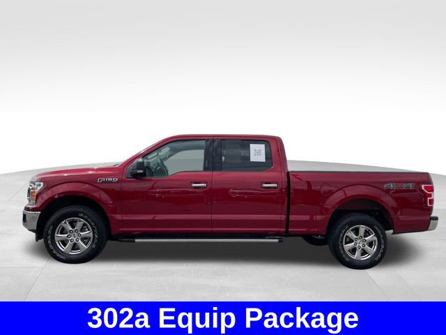 Used 2019 Ford F150 XLT w/ Equipment Group 302A Luxury AWD/4WD image 2