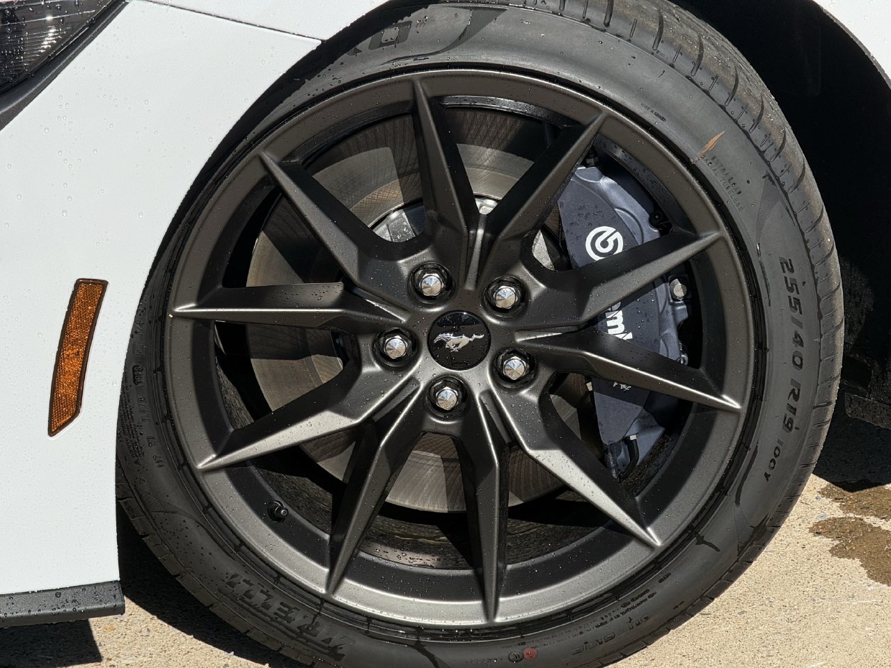 New 2026 Ford Mustang Dark Horse RWD image 8