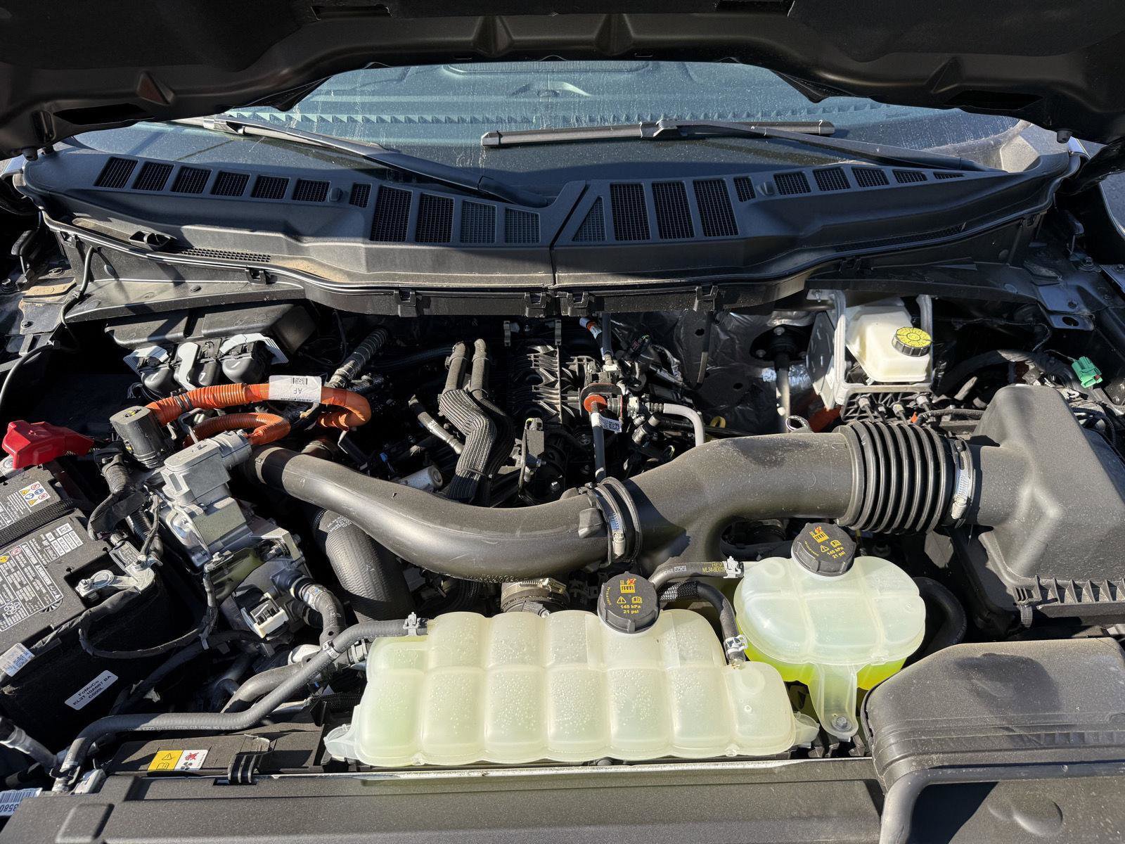New 2025 Ford F150 XLT w/ Equipment Group 302A MID image 23