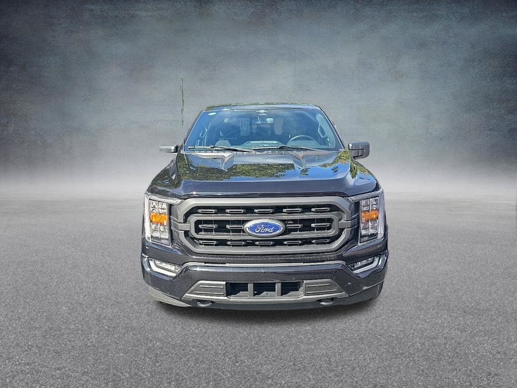 Used 2023 Ford F150 XLT w/ Equipment Group 302A High AWD/4WD image 3