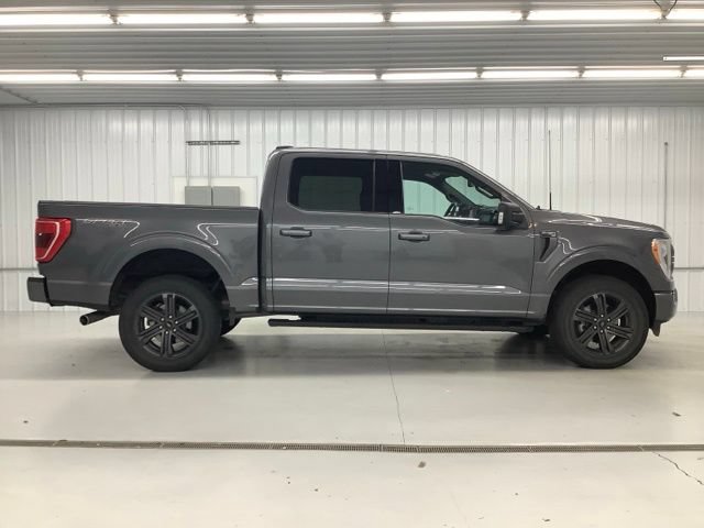 Used 2023 Ford F150 XLT w/ Equipment Group 302A High AWD/4WD image 7